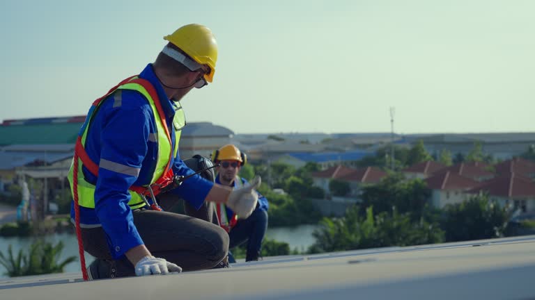 Best Skylight Installation and Repair  in Olivehurst, CA